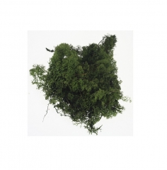 30 Dekorativna mahovina